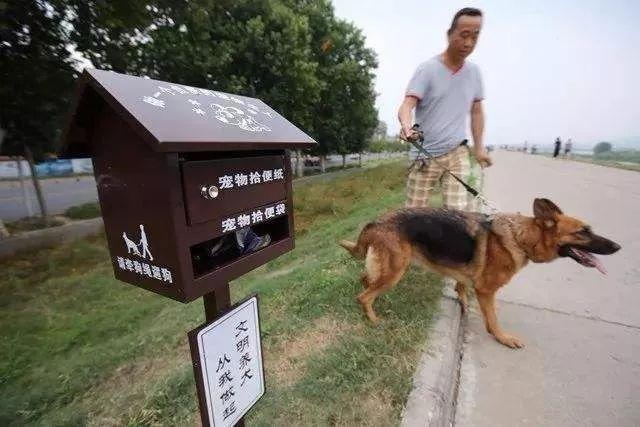 昆明清洁公司，高效清洁服务，守护城市清洁之美