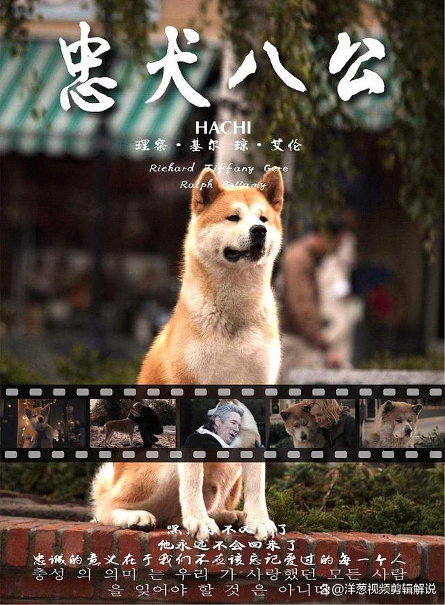 忠犬八公，无言的忠诚