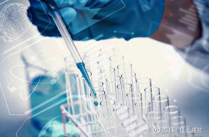 医药公司，创新与发展的领航者