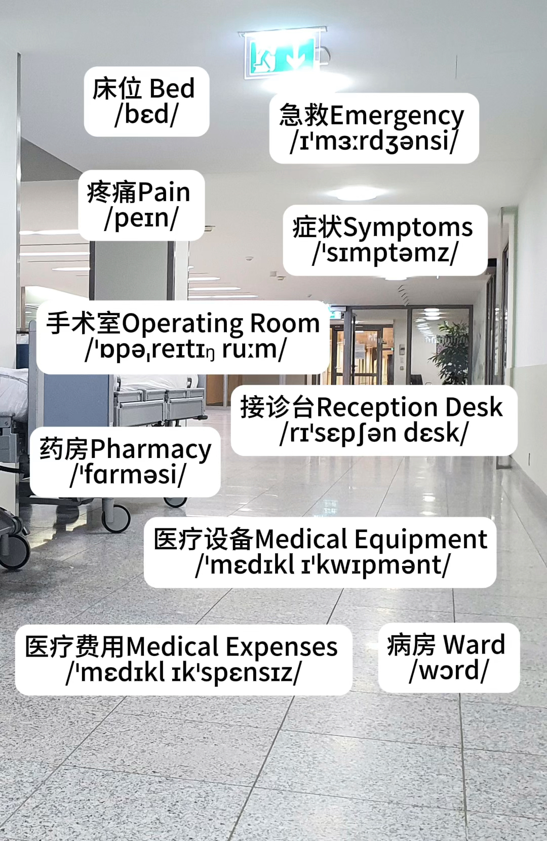 产品中心 第395页
