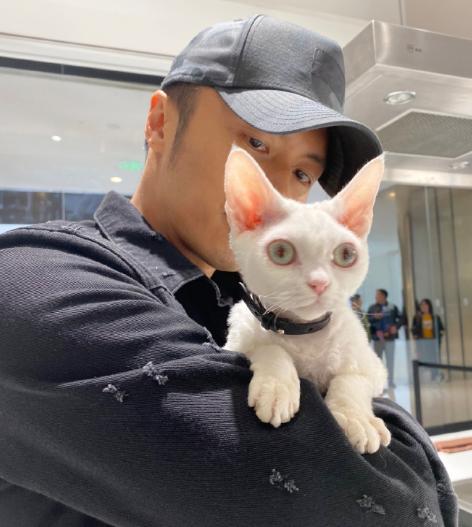 宠物医院猫咪检查费用全解析，爱宠健康守护的经济账