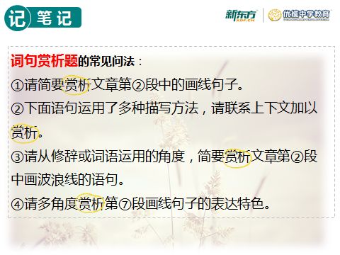 考医院编制，全面解析必考科目与备考策略