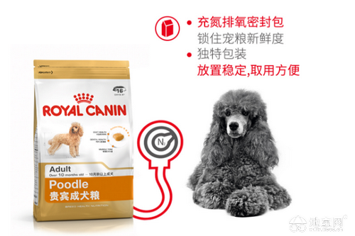 宠物医院英文，为宠物健康保驾护航的温馨港湾