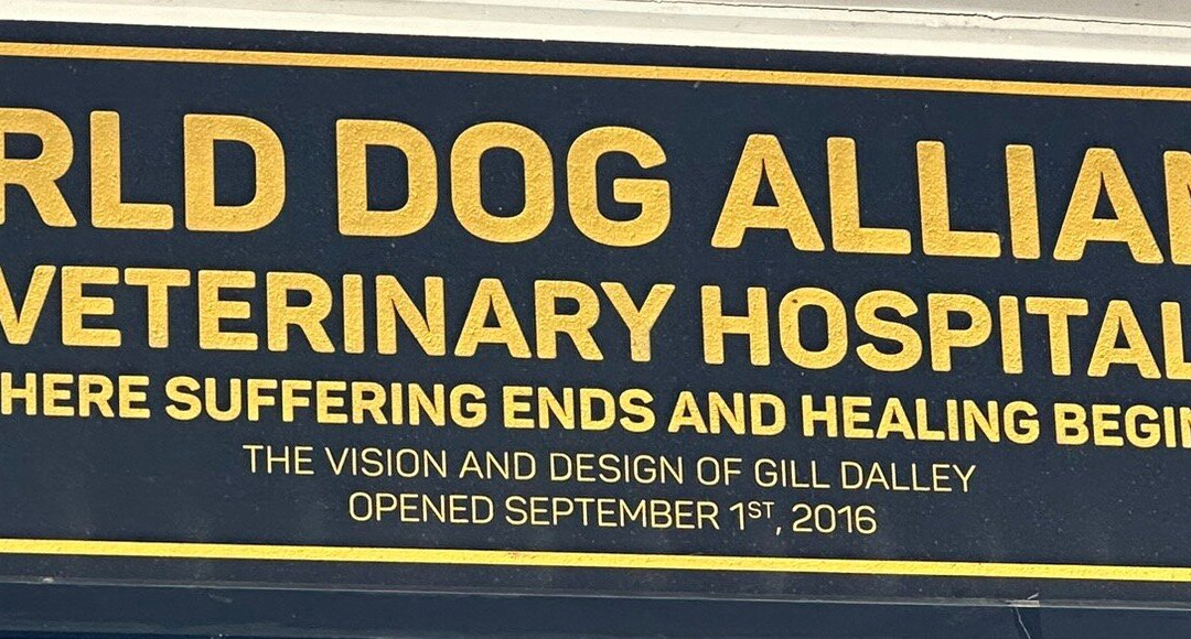 A Pawsitive Haven in My City: A Journey Through Our Local Pet Hospital