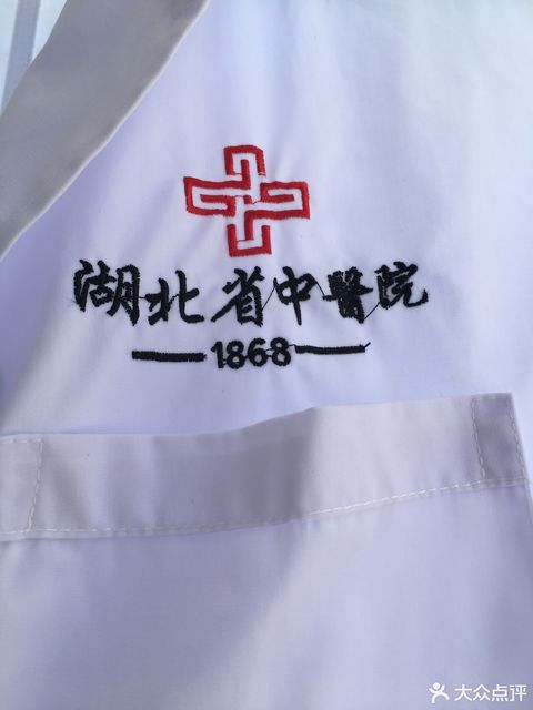 湖北省中医院，传承与创新并蓄的医疗殿堂——解析其Logo的深意