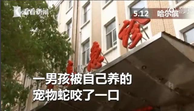 医院Logo中的蛇，古老象征与现代意义的交融