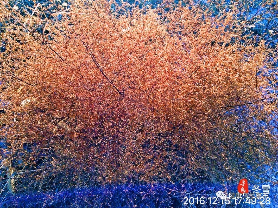 产品中心 第372页