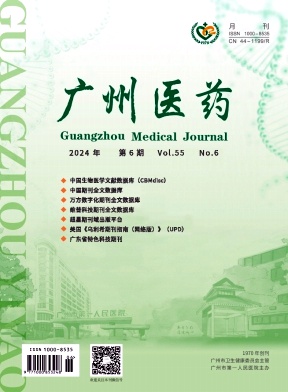 医药卫生杂志，解析其级别与影响力