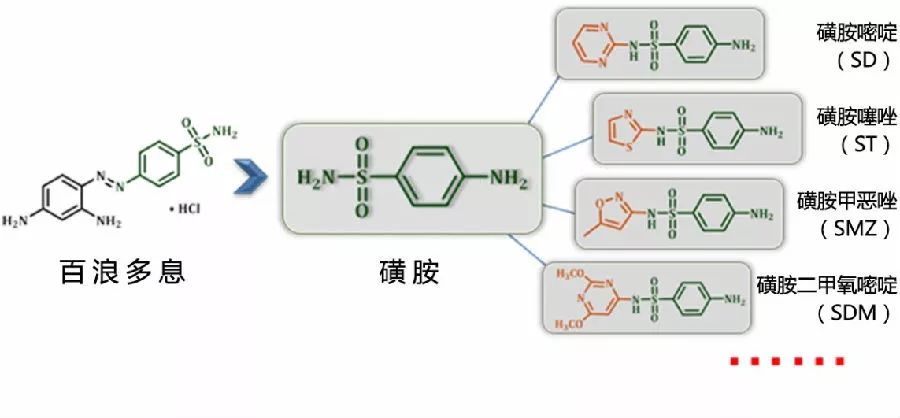 医药卫生大类的全面解析，从基础到前沿的广泛涵盖