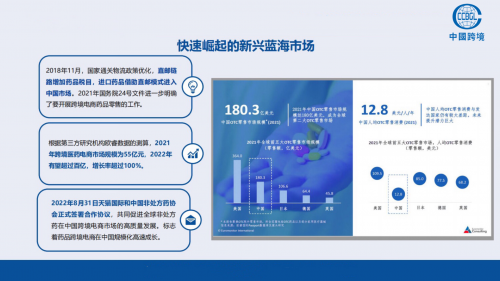 医药电商运营工作年度总结，挑战与突破并进