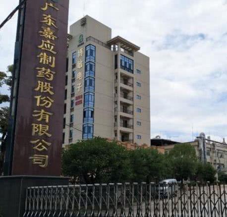 嘉应宝元丹，传统医药的瑰宝与现代健康的守护者