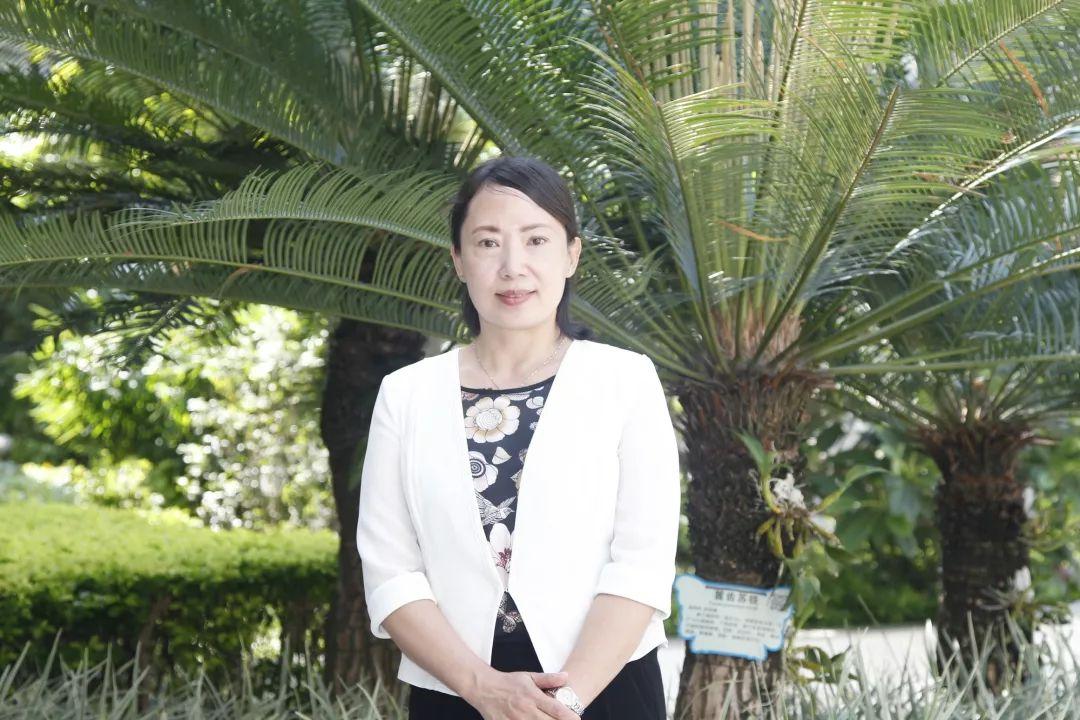 医药药品招商，创新与合作的双赢之路