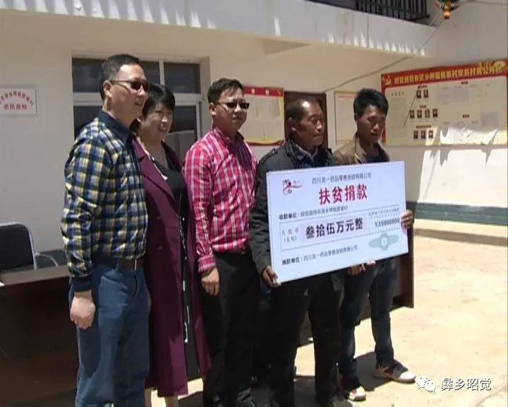 全国医药连锁百强企业的崛起与影响