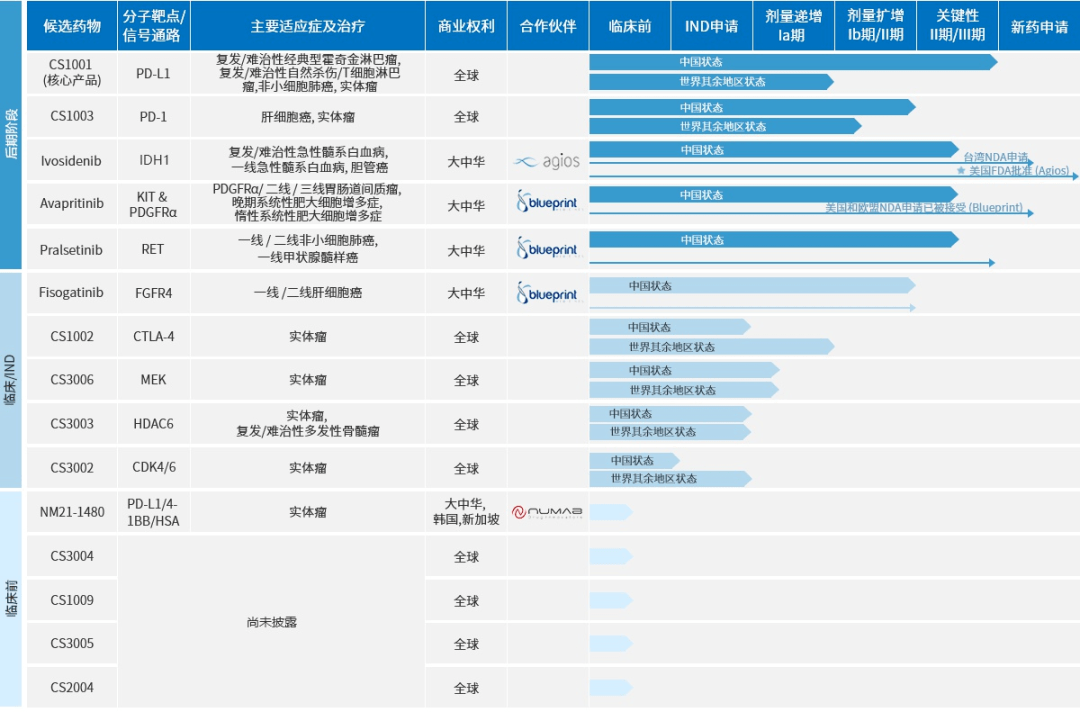 全国医药连锁100强名单一览表，构建健康守护的坚实基石