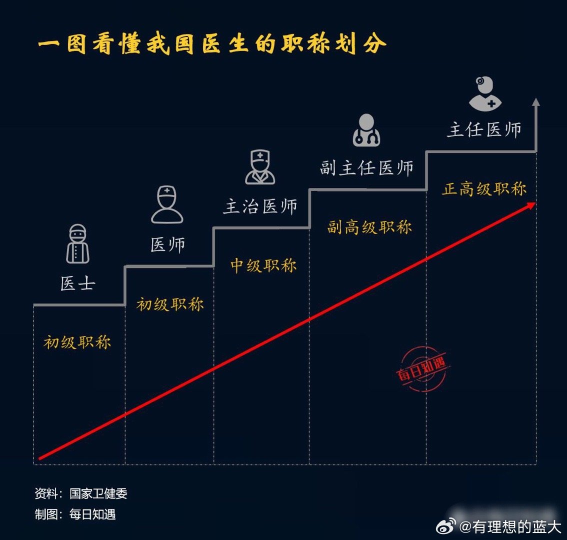 医生职称级别一览表，从医学生到专家的成长之路