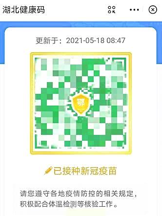 免费医生咨询服务，守护健康的无形盾牌