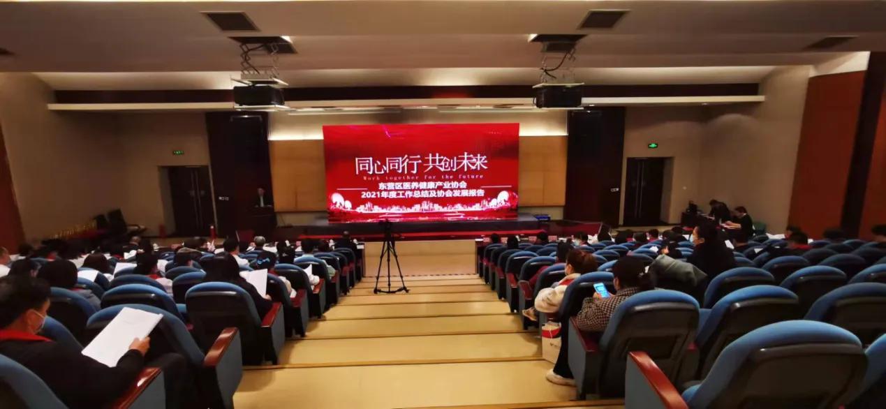 医生年度工作总结模板，以患者为中心，共筑健康之路