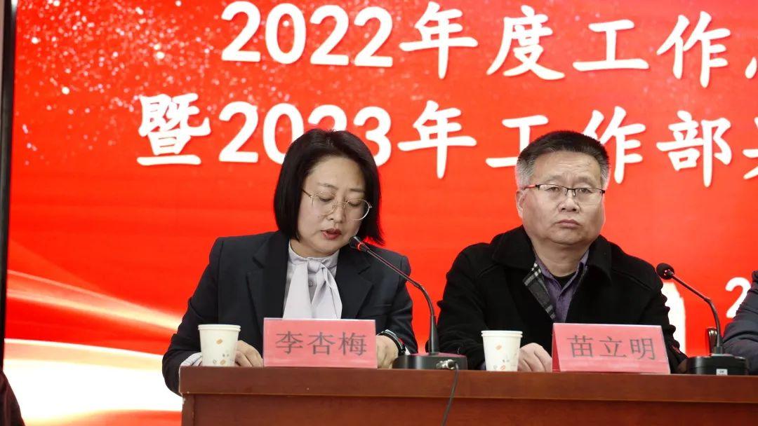 中医医生年度工作总结，传承与创新并进，医术与人文共辉