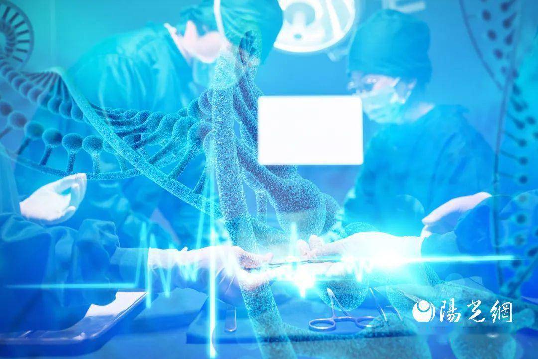 泌尿外科手术视频动画，透视现代医疗技术的创新与进步