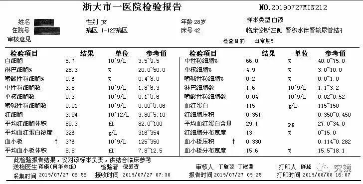 肾结石手术费用概览，从诊断到治疗的全面解析