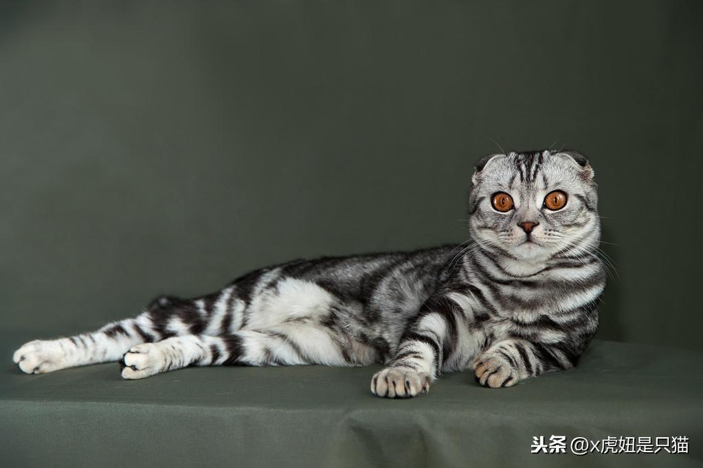 手术前为何要实施禁食禁水，科学原理与安全考量