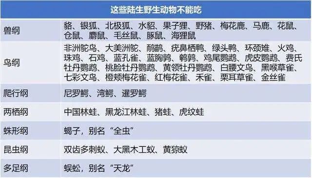 手术前禁食禁水的重要性与时间指南