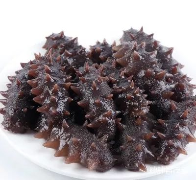 手术后食用海参对伤口恢复的影响，科学解析与建议