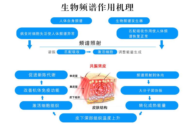 家庭健康守护者，家用治疗仪的现代角色与选择指南