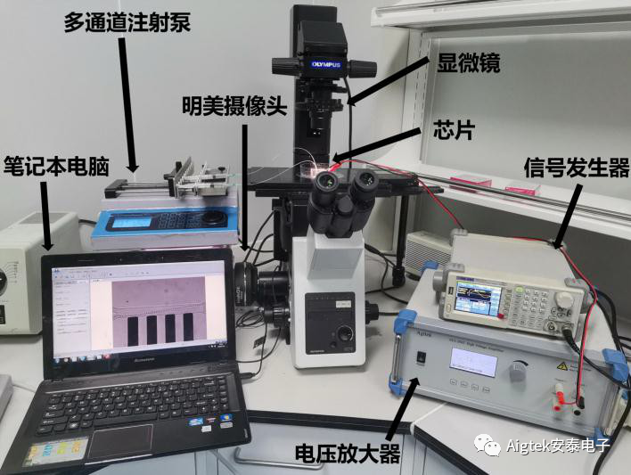 红外线治疗仪器的奥秘与现代医疗应用