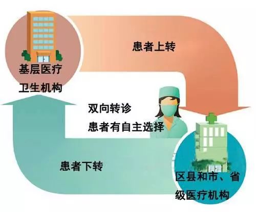 医院转诊单有效期几天，患者与医疗系统之间的关键纽带
