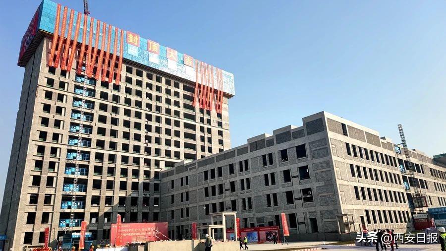 2024年三甲医院上班时间规定新解读，优化服务，提升效率