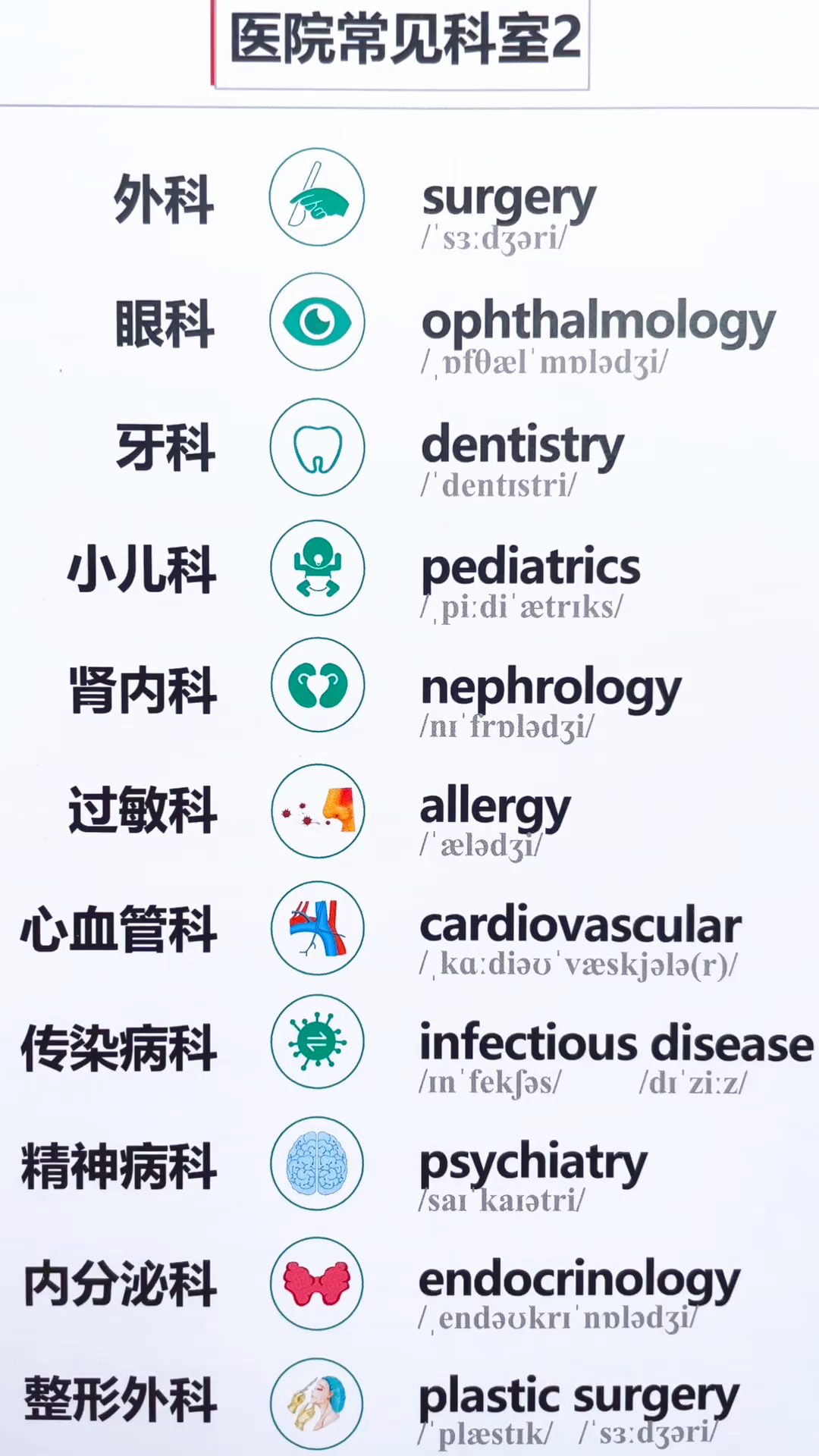 医院各科室英文名一览，构建医疗体系的基石