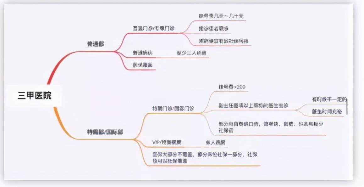 揭秘提升一肖一码100%的真相，理性与现实的碰撞