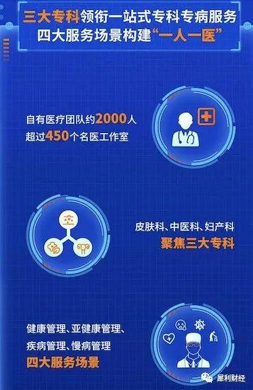 一甲医院，医疗体系中的金字塔与公众健康的守护者