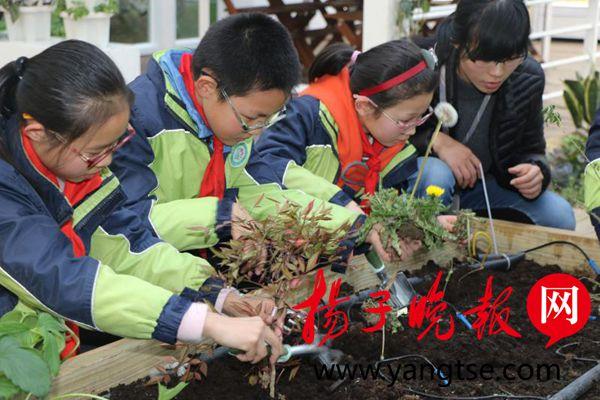 医院拼音读法详解，从基础到实践的全面指南
