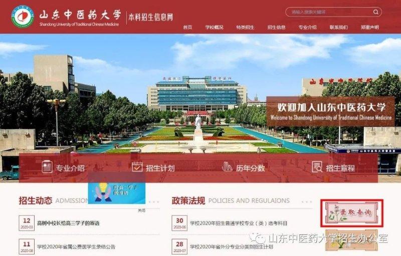 探索中医之韵，揭秘TCM的全球影响力