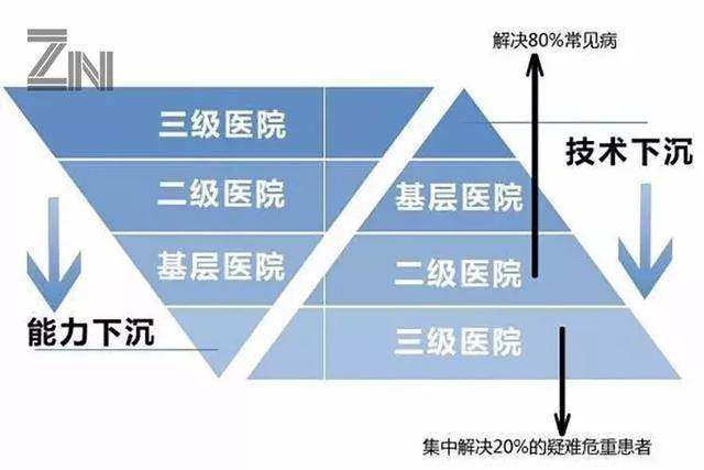公立医院分级制度，保障医疗质量与资源均衡的基石