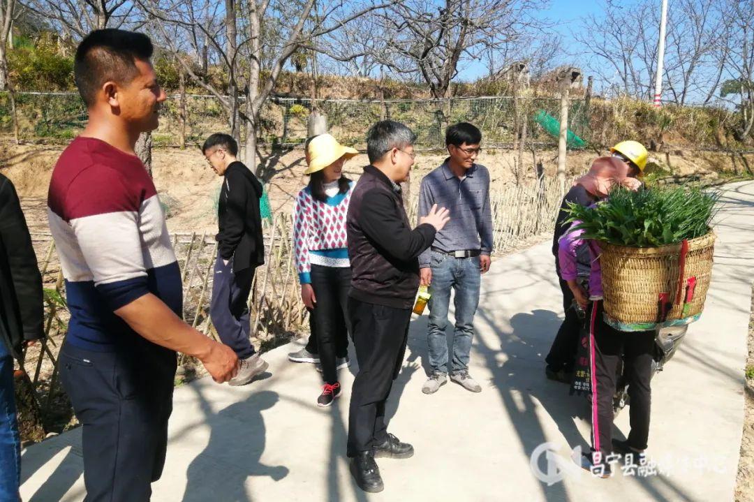 医院审计部门，守护健康与财务的双重卫士