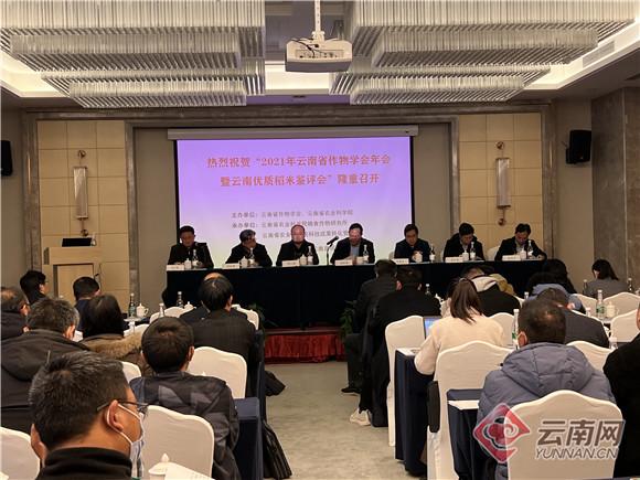 云南省三甲医院官网，医疗服务的数字化窗口