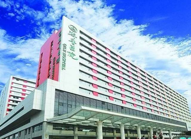 国内排名前十医院，医疗技术与服务品质的卓越典范