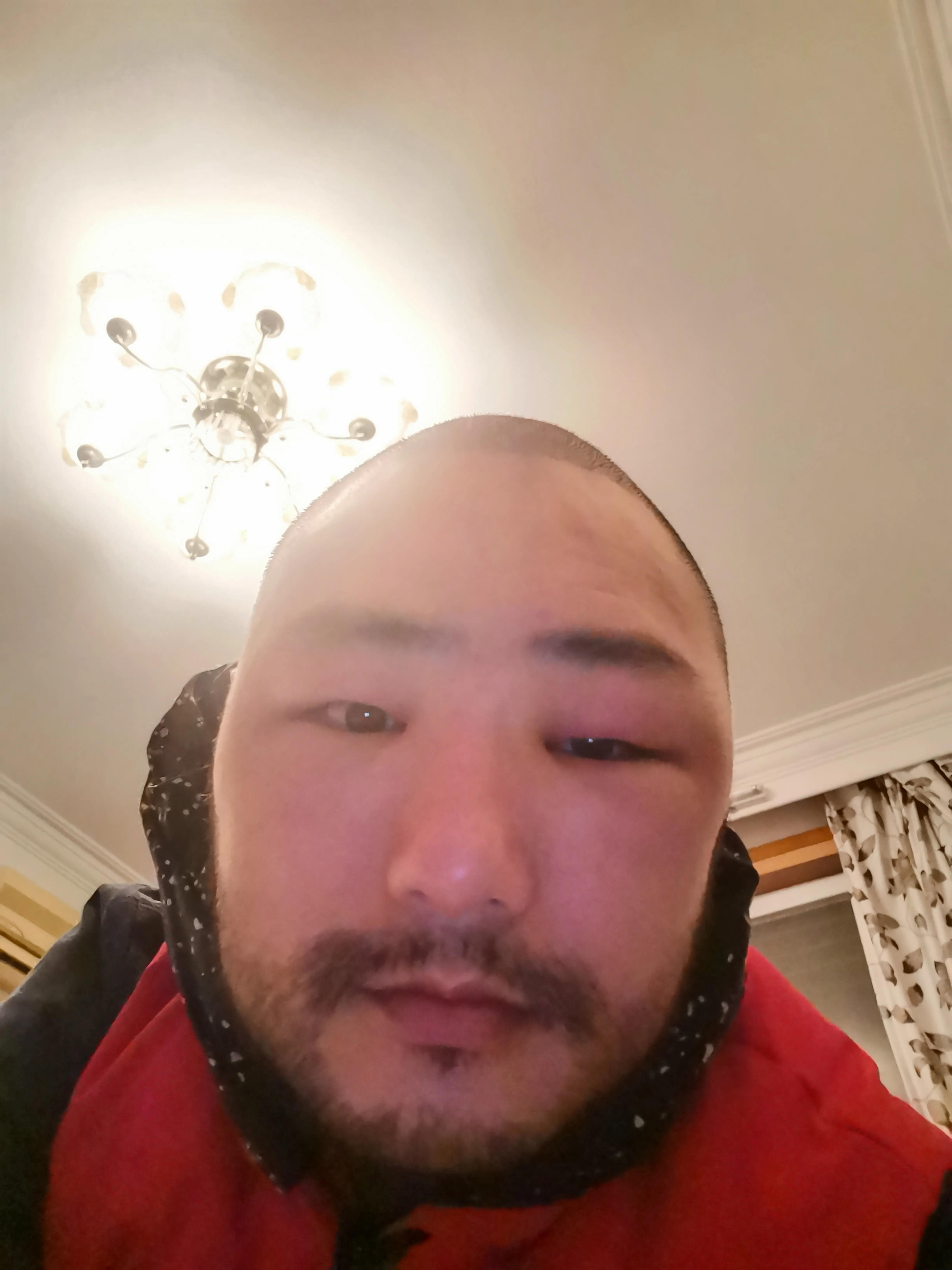 探秘上海植发医院排行榜，专业与口碑的双重考量