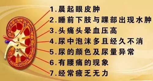 全国肾病最好的医院排名前十，守护肾脏健康的权威之选