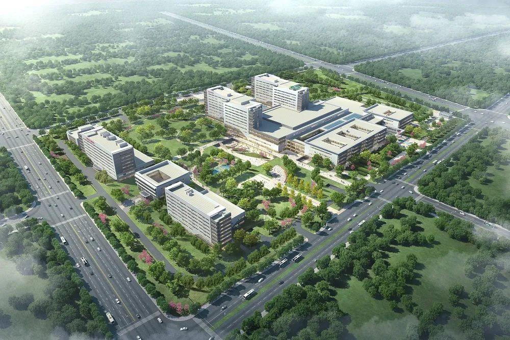 2024中国医院专科排行榜，透视医疗领域的顶尖力量