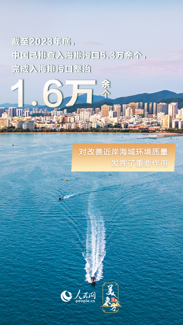 探索海鸥官网，解锁海洋生态的智慧之门