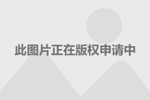 汽车之家2024最新版官网，探索未来汽车科技的无限可能