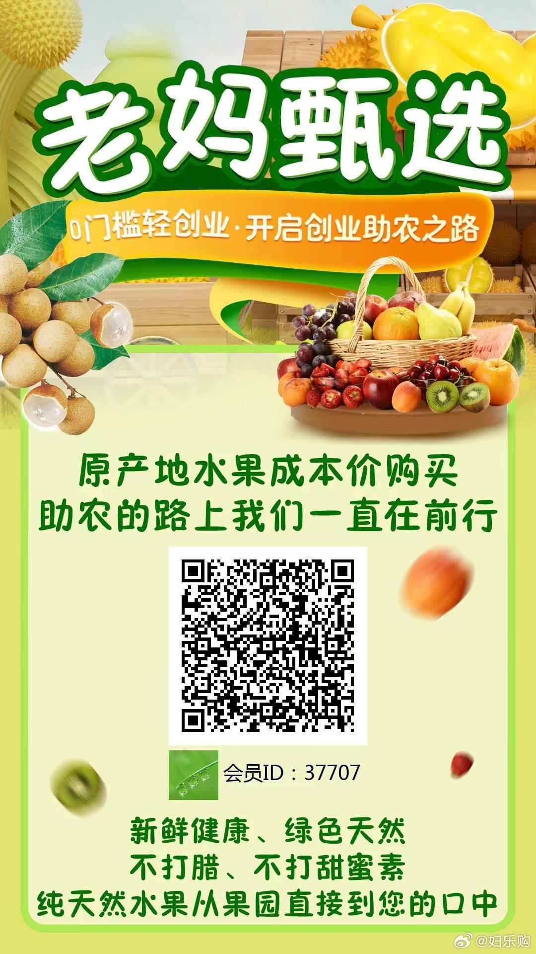探索新澳好彩，免费资料查询与水果奶奶的奇妙之旅