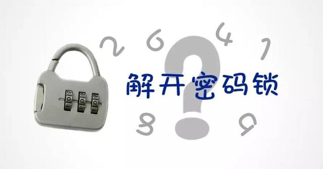 抓码王，解锁数字世界的秘密钥匙