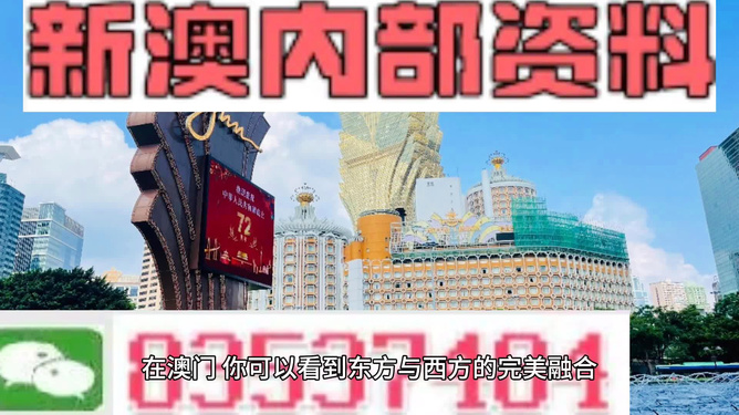 2025新澳正版资料，最新更新与未来展望