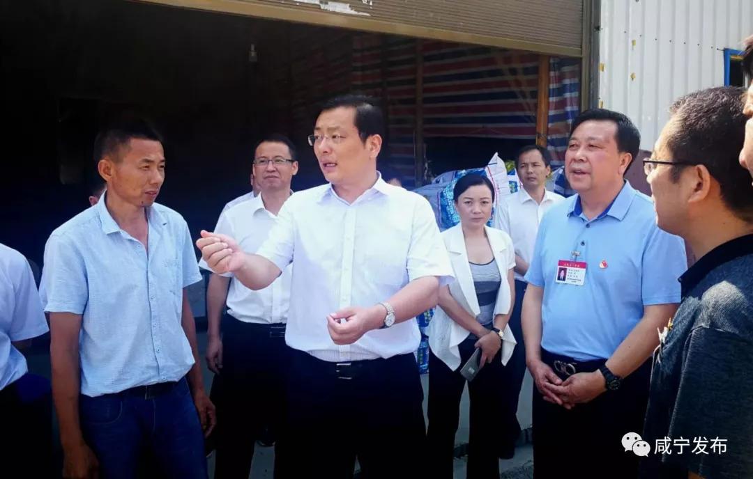 探索通山县政务网，数字化时代的政务新风尚