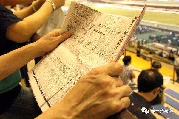 精准马报彩图，透视赛马世界的视觉盛宴